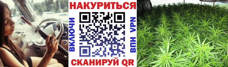 Магазины продажи наркотиков Серафимович Alpha-PVP Меф Канабис hydra как войти Кокаин